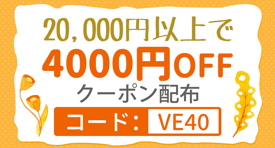 VEIMIA【公式】・ヴェーミア通販サイト-ブラジャー・下着・ 小さく