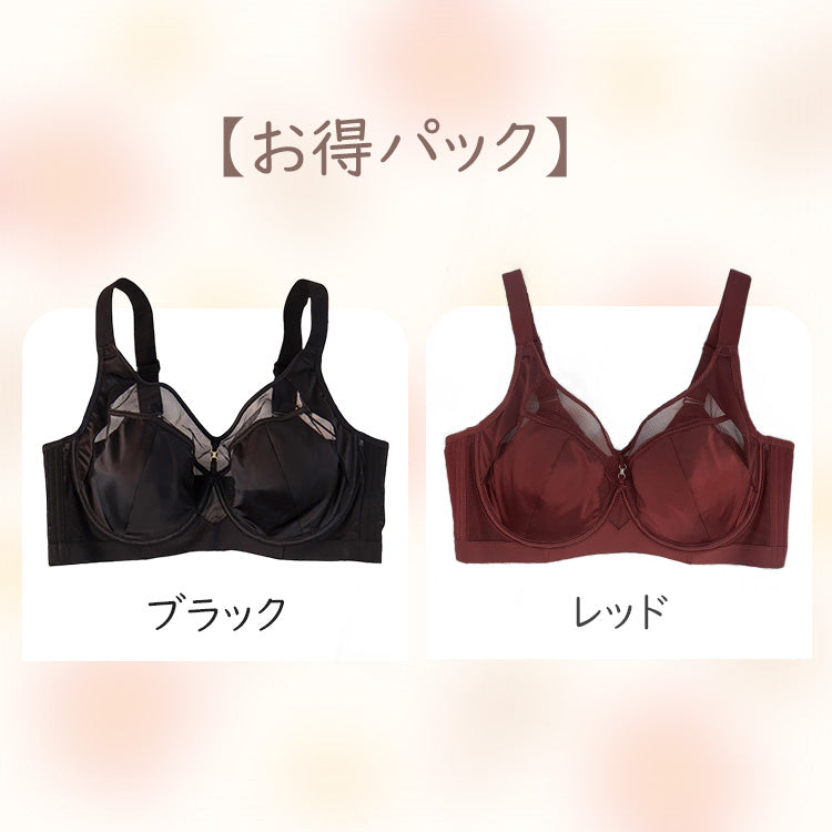 ブラジャー 小さく見せる 【お得2点入】ブラック&レッド ヴェーミア 