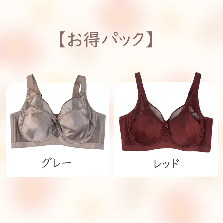 ブラジャー 小さく見せる 【お得2点入】グレー&レッド ヴェーミア 