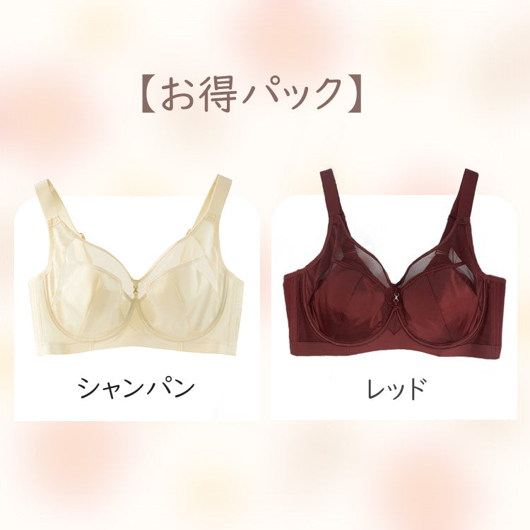 ブラジャー 小さく見せる 【お得2点入】シャンパン&レッド ヴェーミア 