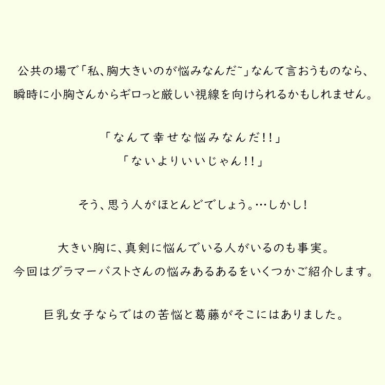 ヴェーミアレディース下着セット 大きい胸